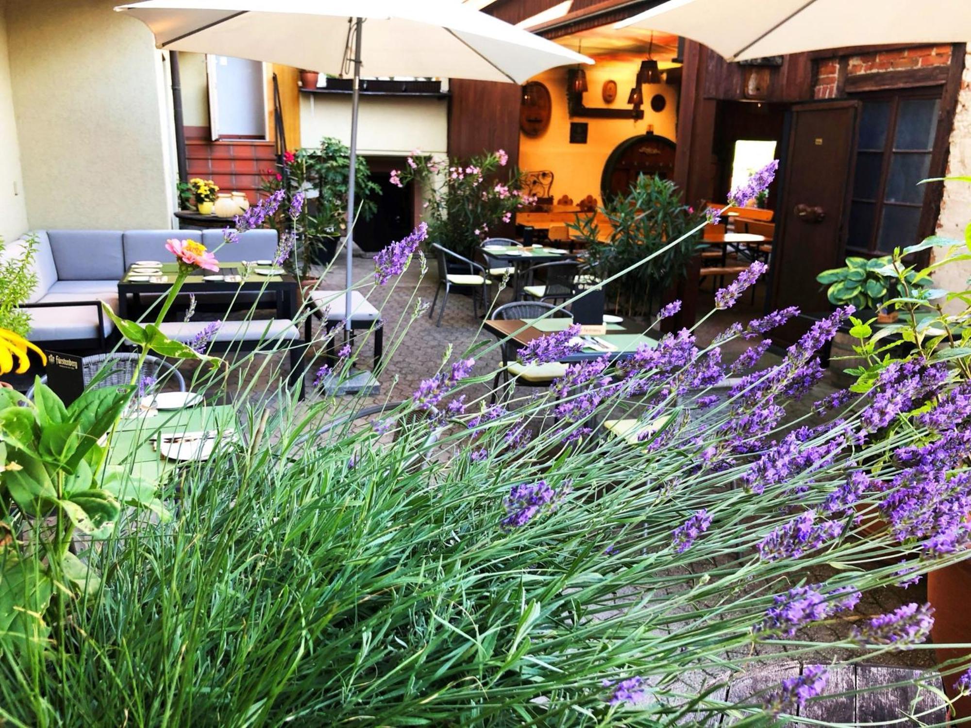 Appartements 'In Vino Veritas' Haslach im Kinzigtal Exteriör bild