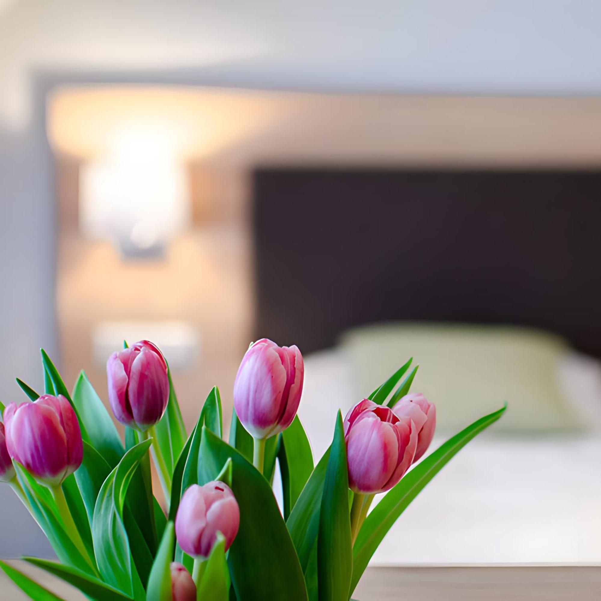 Appartements 'In Vino Veritas' Haslach im Kinzigtal Exteriör bild
